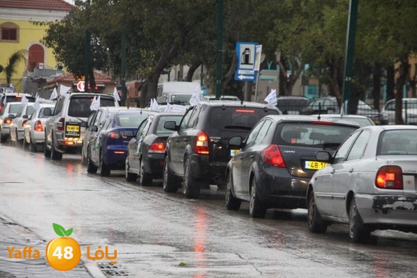 qafela sayarat haiywa (1).JPG